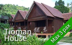 TIOMAN HOUSE - Bungalow Deluxe - 1 x lit double + 1 x lit simple